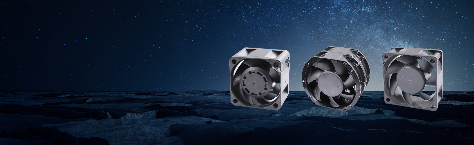 مشجعي دي سي